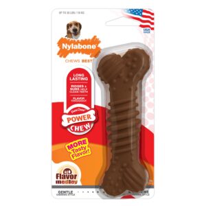 Nylabone /DuraChew/ Chew Dog Toy