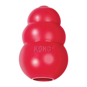 The Puppy KONG Dog Toy