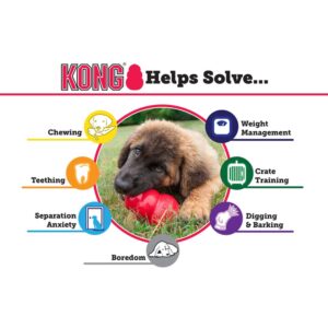 The Puppy KONG Dog Toy